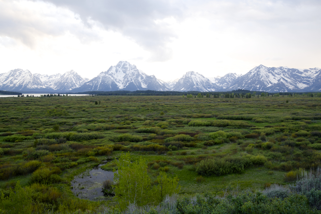 Grand Teton National Park
