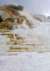 Mammoth Hot Springs