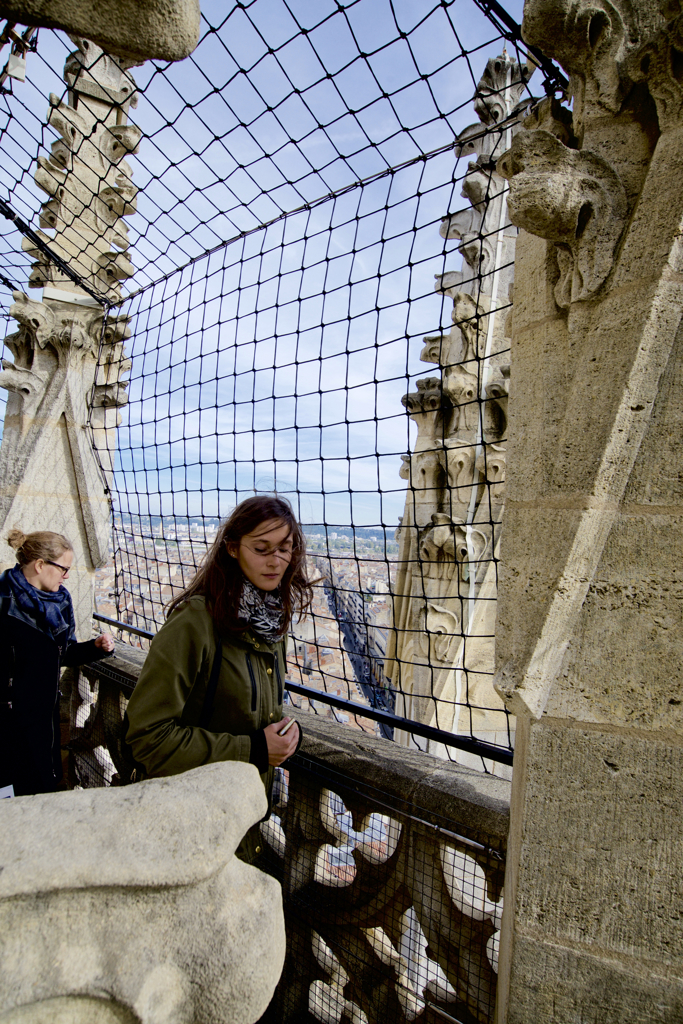 Camino de Santiago in France