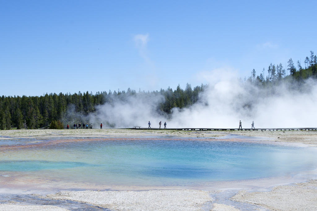 Yellowstone national park