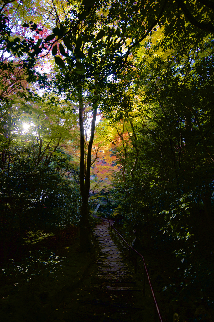 赤山禅院