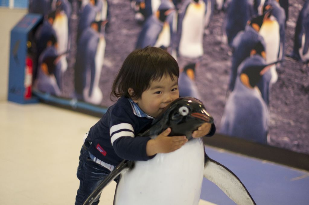 ペンギン！大好き！