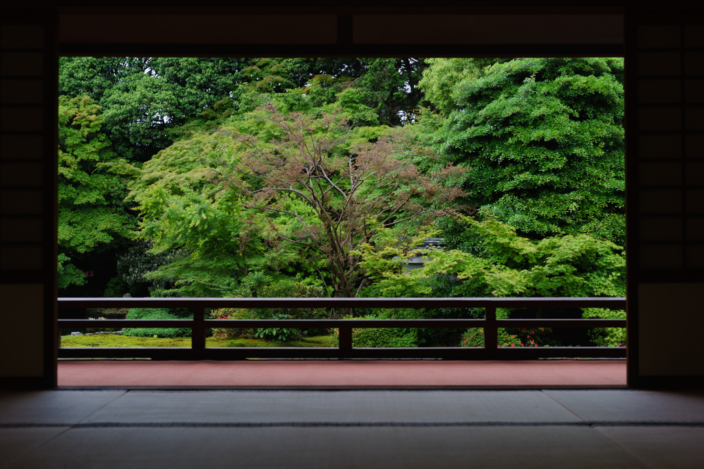 雨上がりの京都Ⅰ