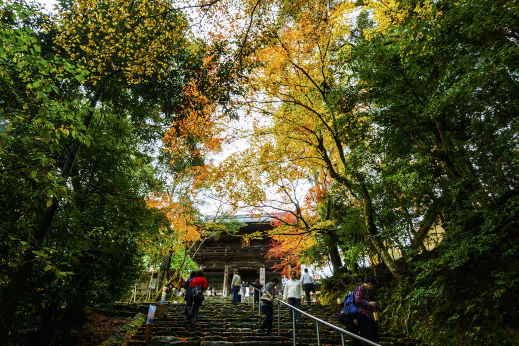 錦秋の神護寺