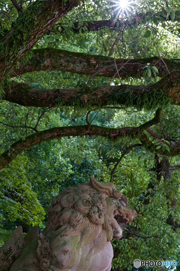 八坂神社
