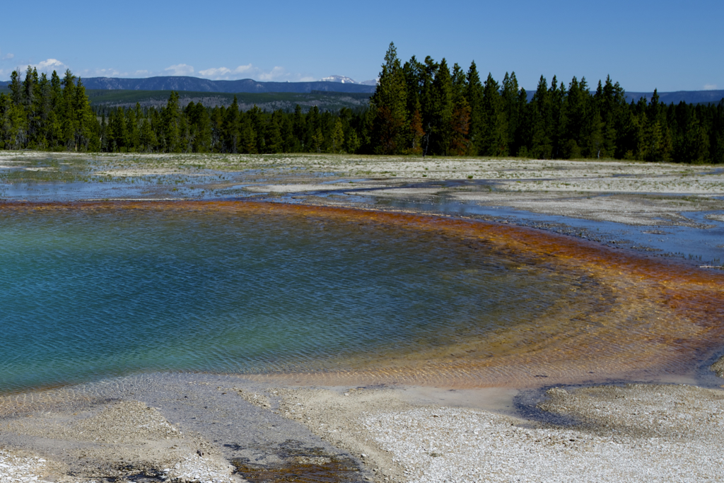 Yellowstone national park