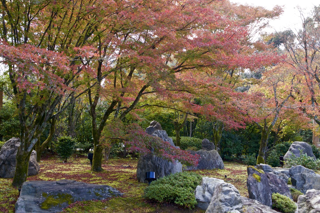 青蓮院門跡