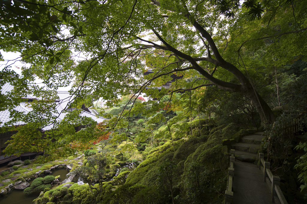 静粛の当麻寺