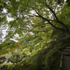 静粛の当麻寺