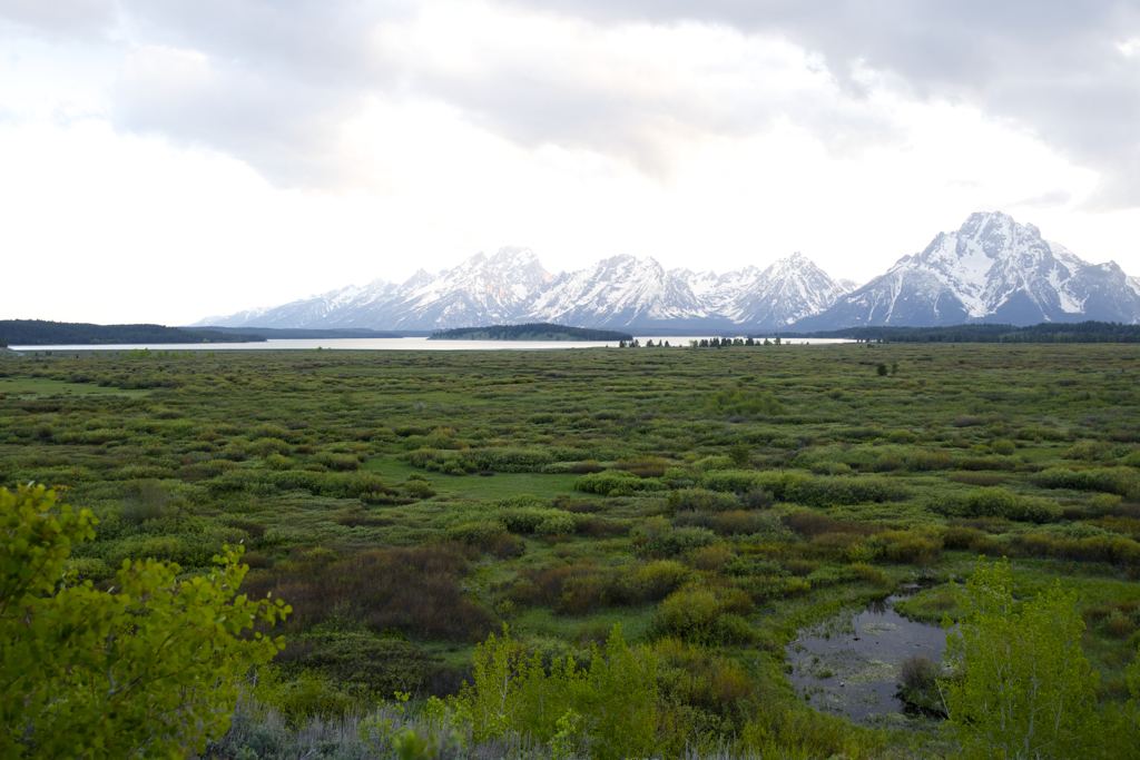 Grand Teton National Park