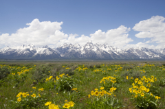 Grand Teton National Park