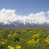 Grand Teton National Park