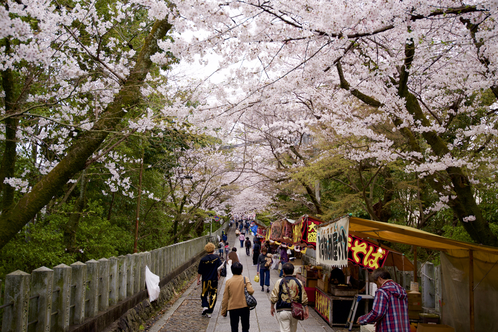 向日神社の春