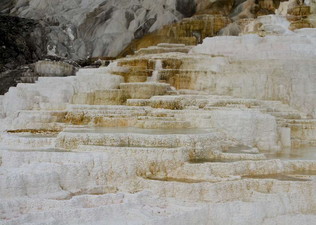 Mammoth Hot Springs