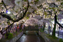 夜の木屋町