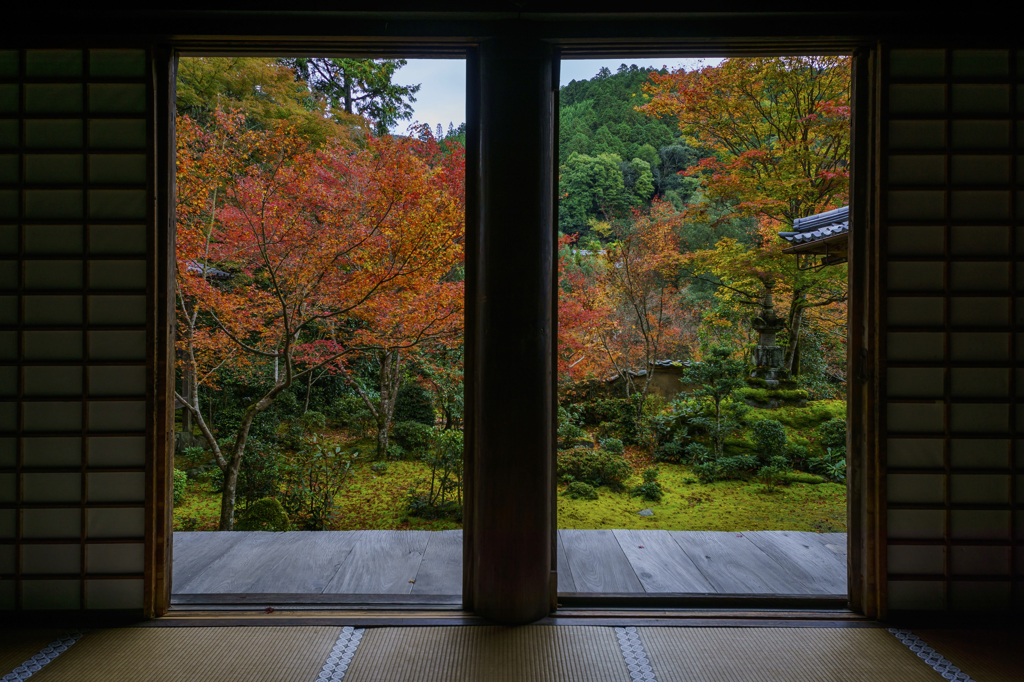 秋　西明寺