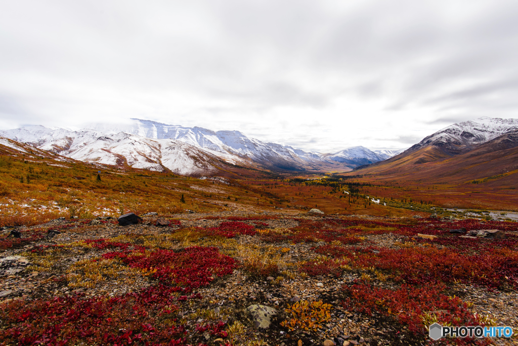 Yukonの大地