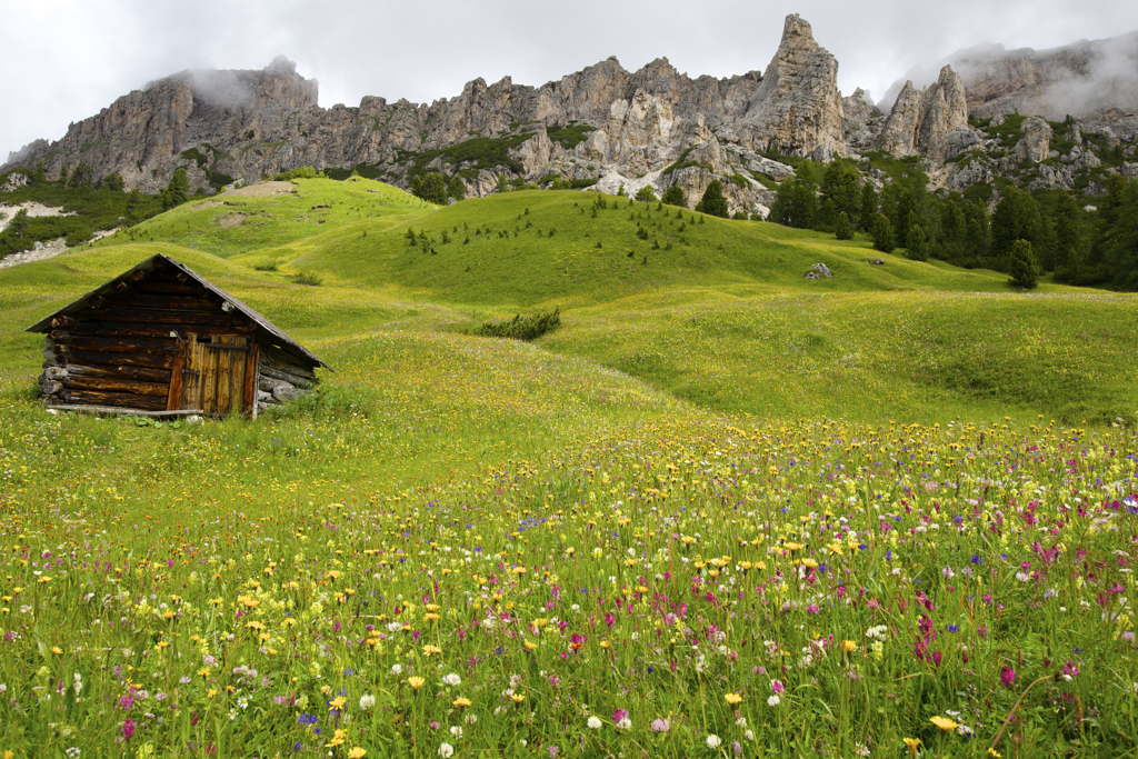 初夏の山小屋