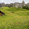 初夏の山小屋