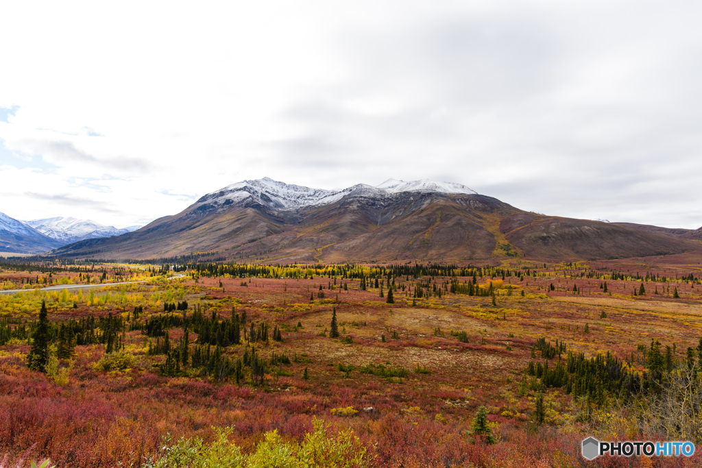Yukonの紅葉