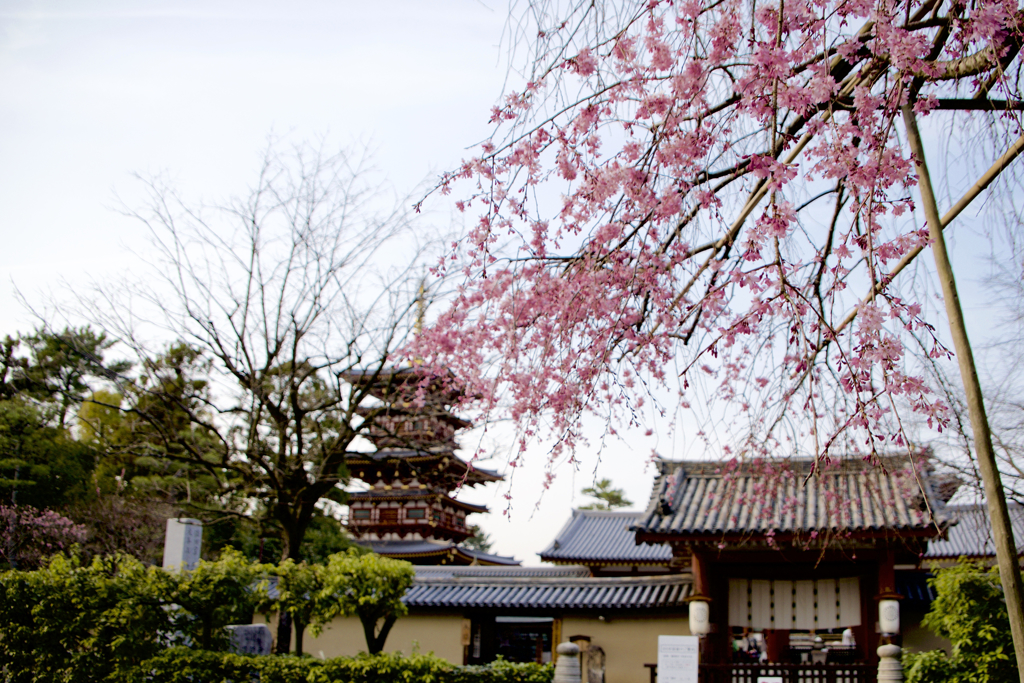 薬師寺