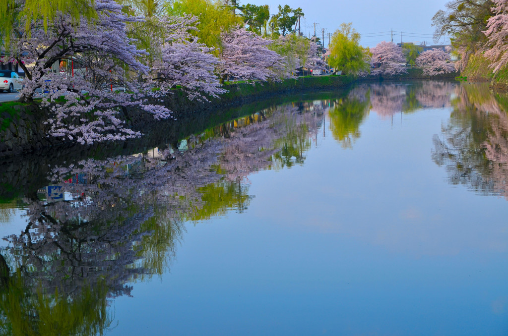 Sakurasaku