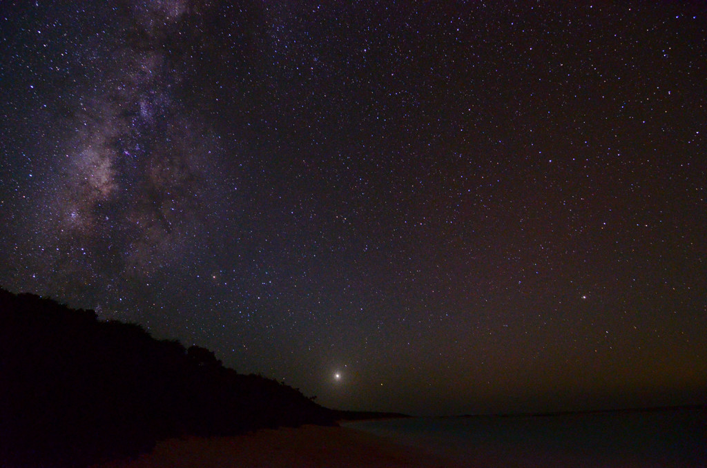 ニシ浜の星