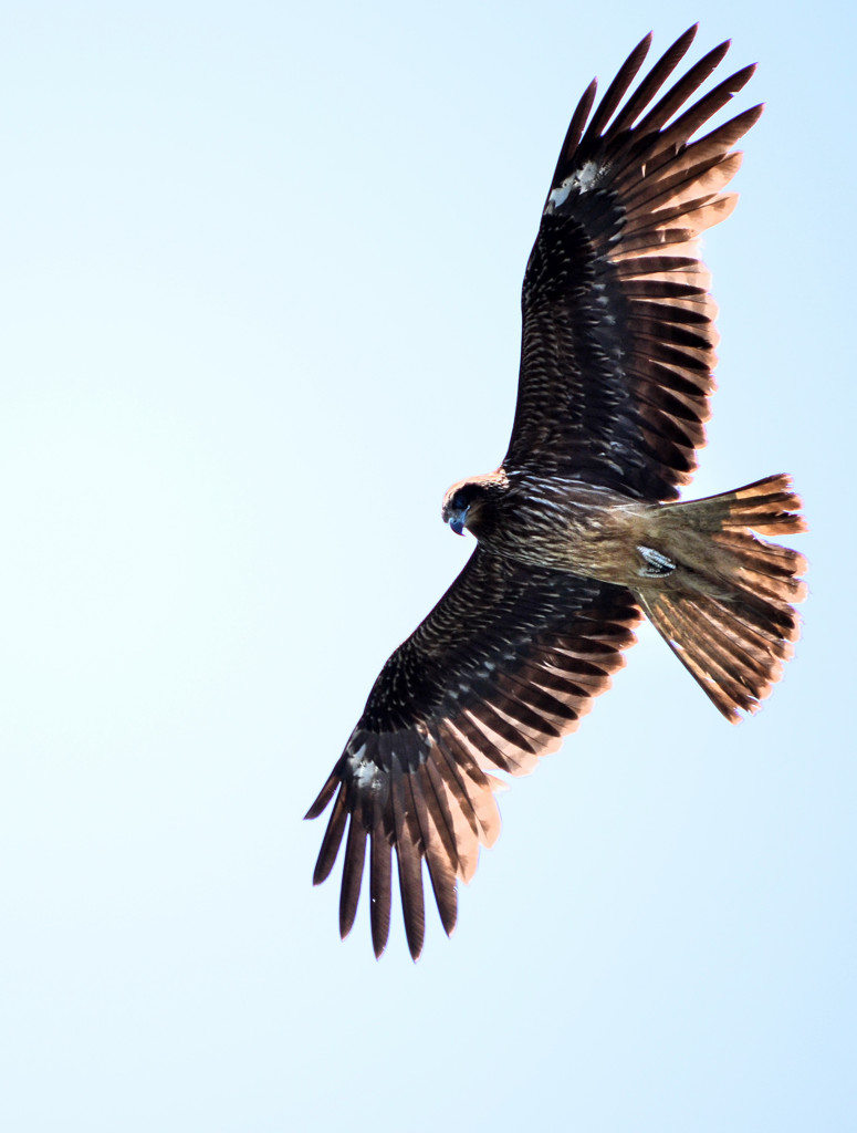 Aim from the sky