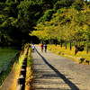 宝ヶ池公園