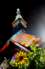 「夏の終わりに」
