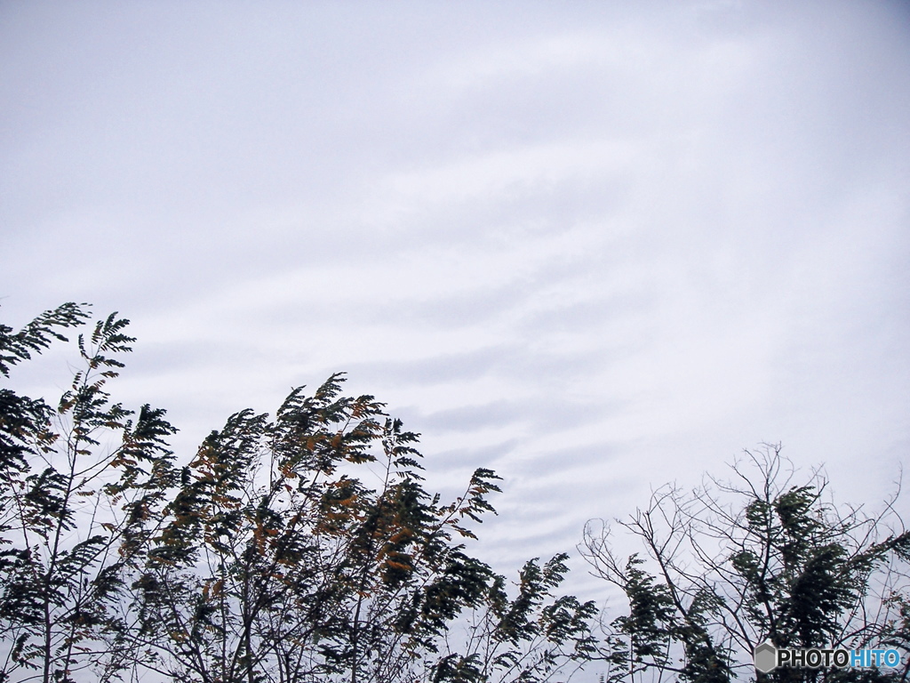 冬のような空