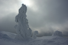 雪原の氷柱