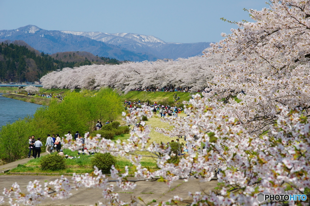 東北で良かった