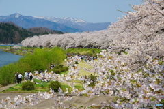 東北で良かった