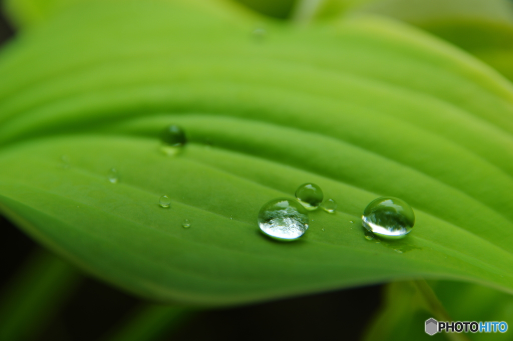 雨上がり