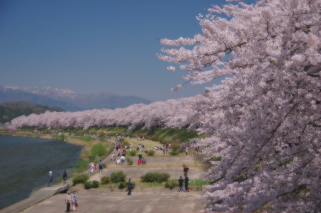 それぞれの春