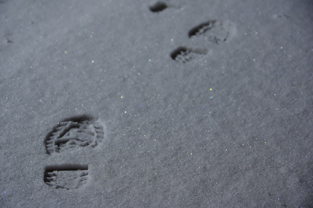雪の夜道
