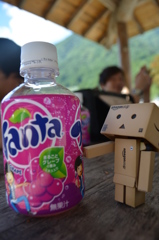 ファンタとダンボー