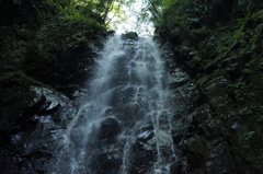 新緑の水