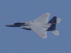 DSC01026 (1)