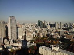 DSC08698
