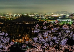 東大寺と興福寺