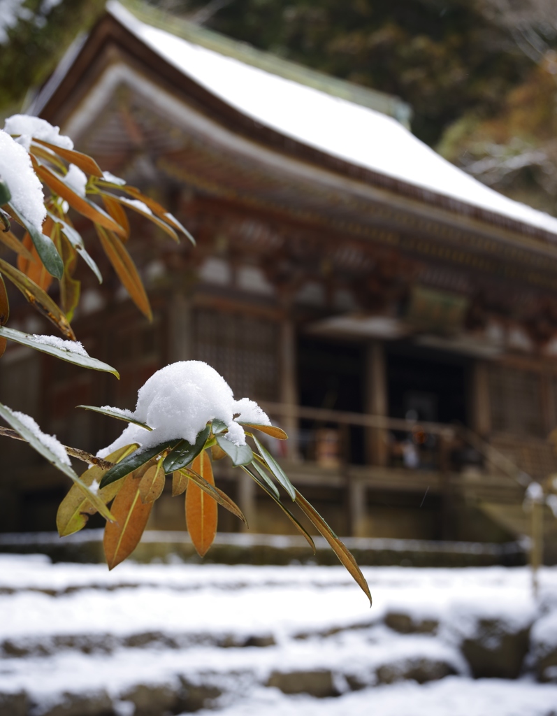 雪の室生寺③
