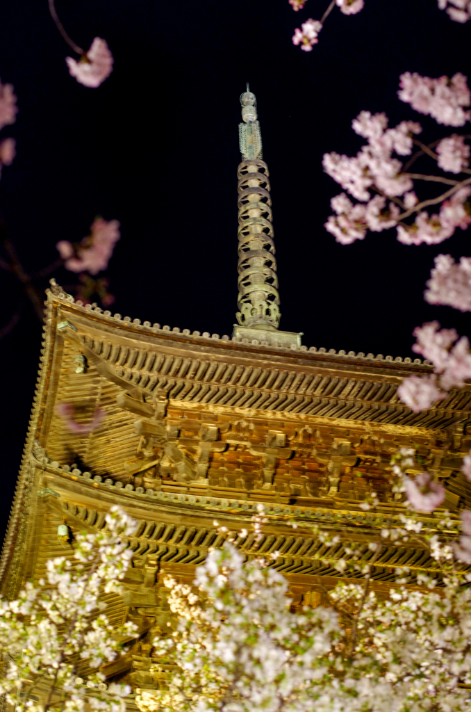 東寺