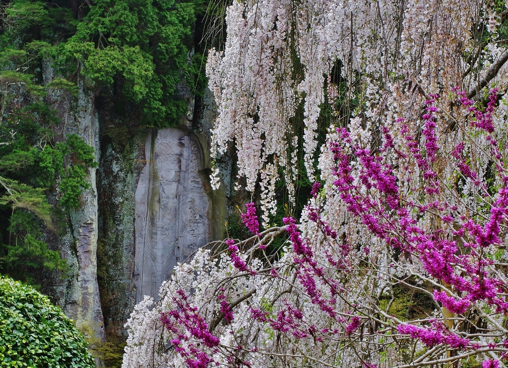 大野寺　磨崖仏