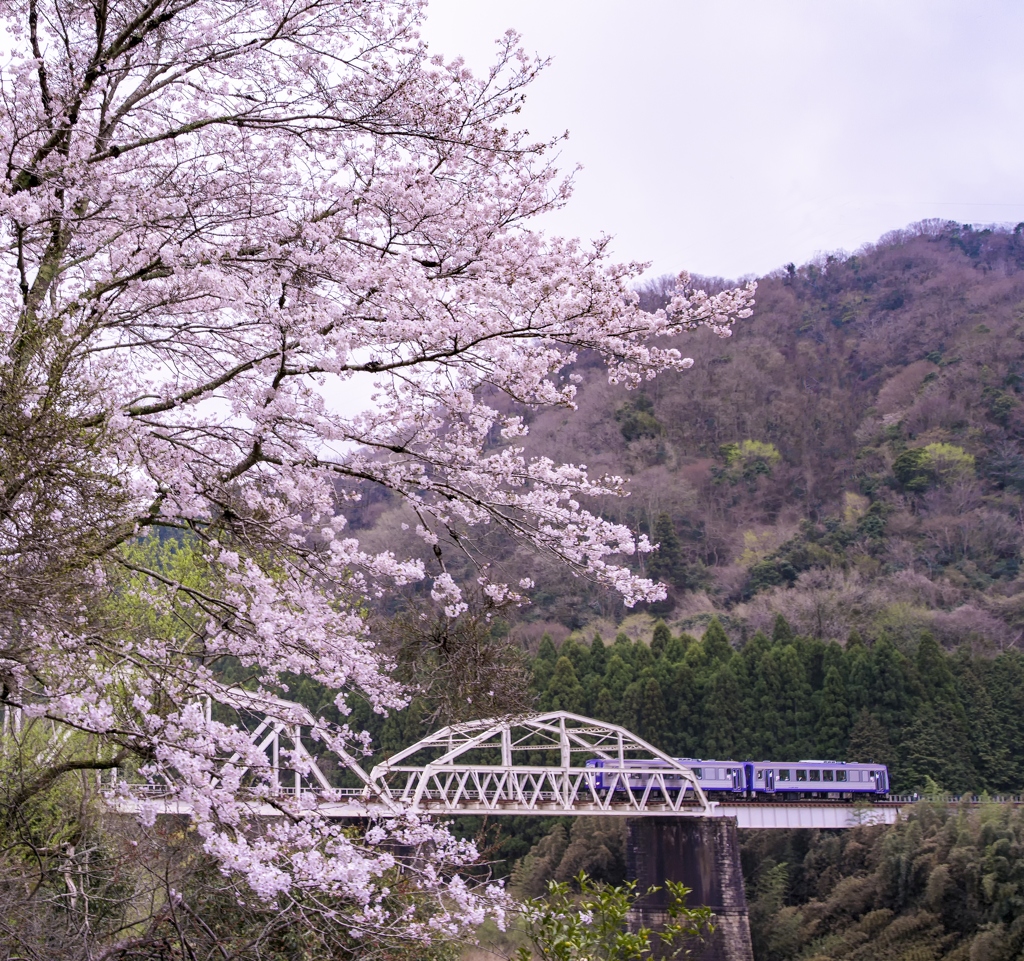 鉄橋のある風景
