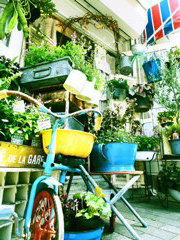 花屋