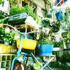 花屋