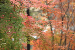 Fall