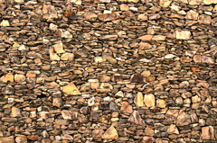 IMG_9728 - コピー